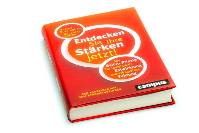 Stärken entdecken Buch